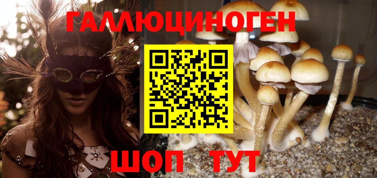Псилоцибиновые грибы Magic Shrooms Удомля